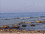 Дахаб, море
